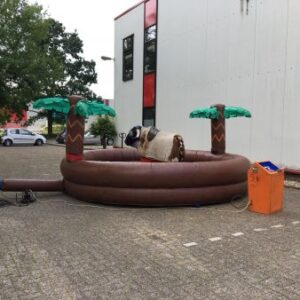 Rodeostier zonder begeleiding