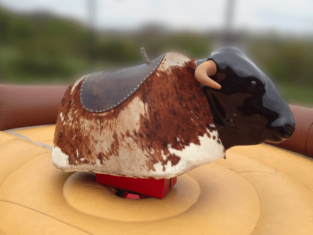 dieren MAHOrent themafeesten